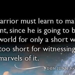 Meet your Posher, Ray